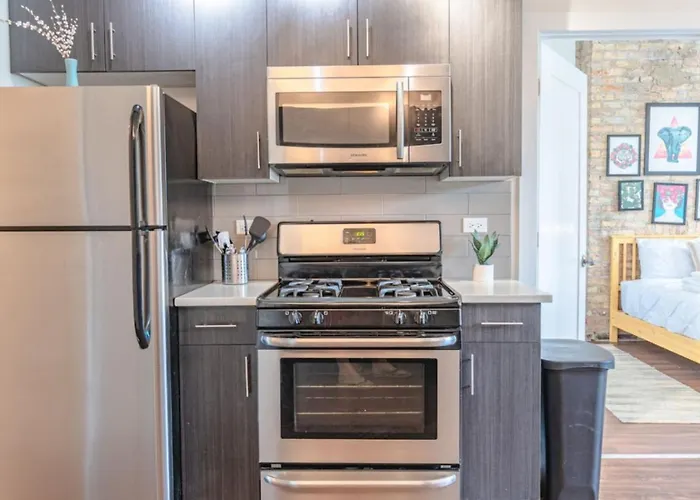 Appartamento Spacious 3br 420-friendly | Mccormick & Uic Campus Chicago