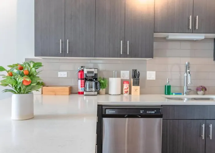 Spacious 3br 420-friendly | Mccormick & Uic Campus Appartamento Chicago
